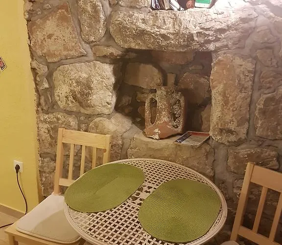 Calypso's Cave The For Animal Lovers