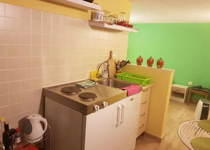 Calypso's Cave The For Animal Lovers