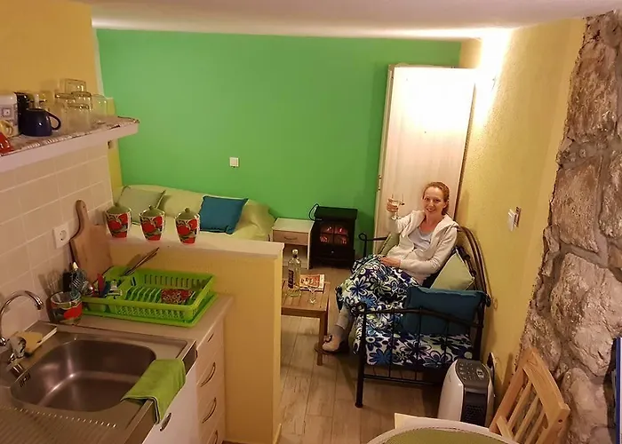 Calypso's Cave The For Animal Lovers *